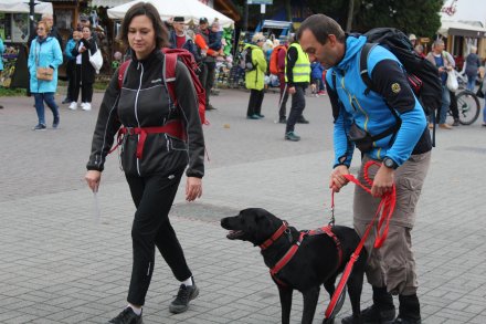 Zawodnicy na trasie biegu